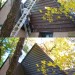 Exterior Paint: Before and After